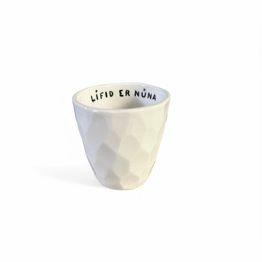 Litluhlutirlífsins-jaki-galli